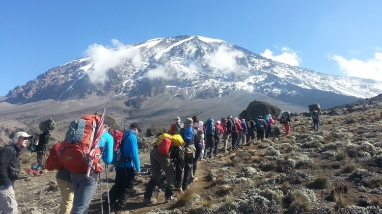 8 days / 7 nights, Marangu Route Mount Kilimanjaro Climb: July - February